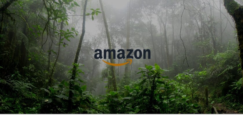 Amazon is fighting South America over the “.amazon” domain
