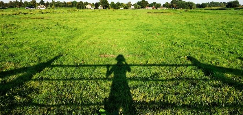Millions of “private” Theta photos were available online, easily accessible