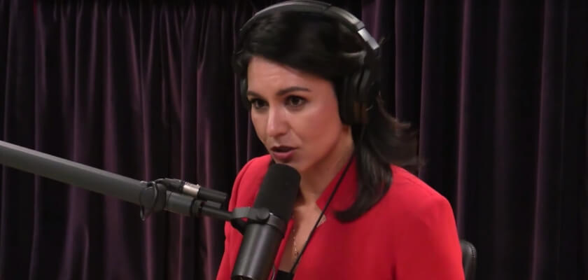 Tulsi Gabbard on free speech online: “Unchecked, First Amendment rights going out the window”