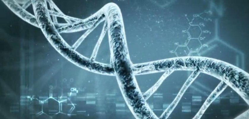 IRS announces incentives for users of Google-backed personal DNA analysis company 23andMe