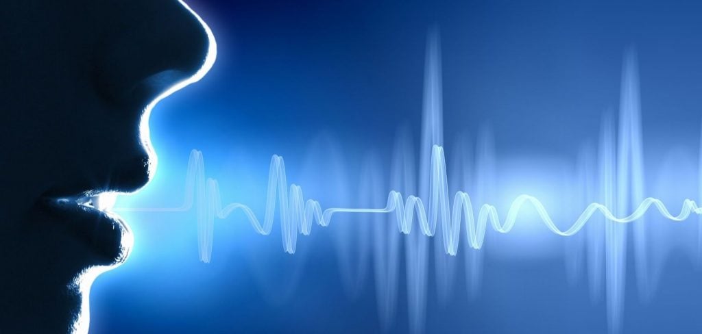 UK National Crime Agency to create database of voice recordings to identify suspects