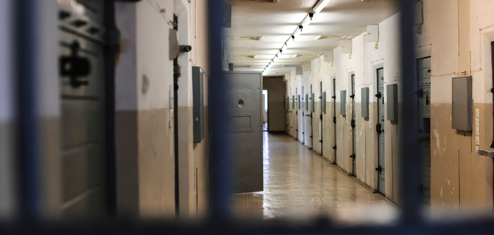 Reporters Without Borders calls for immediate release of Julian Assange on humanitarian grounds
