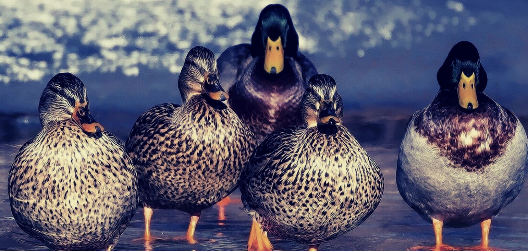 Mainstream media outlets ran a fake news story that China was sending 100,000 locust-eating ducks to Pakistan