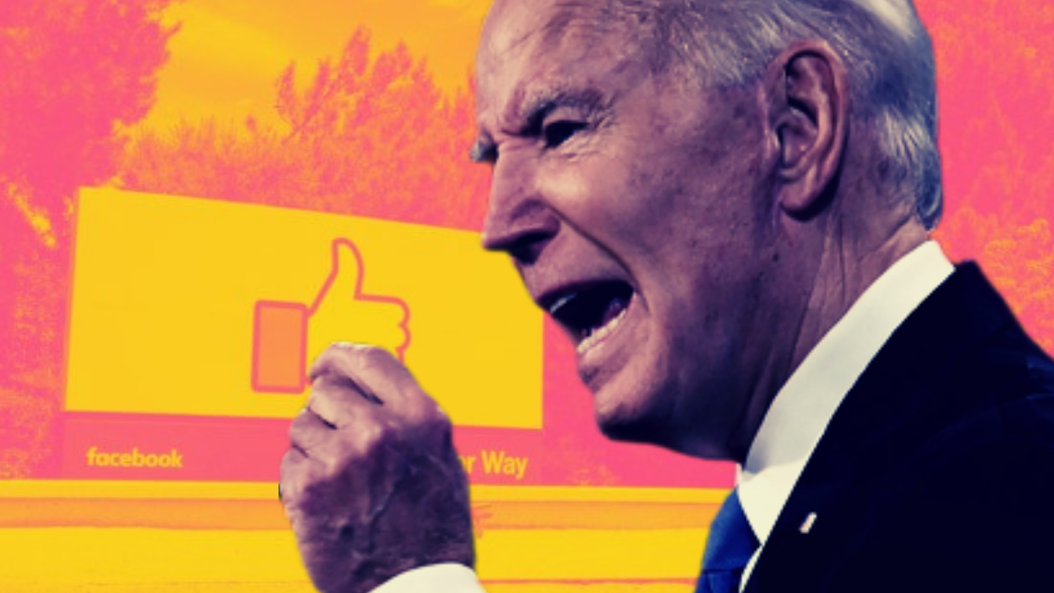 “Free expression” activists call on Biden to create an online disinformation task force