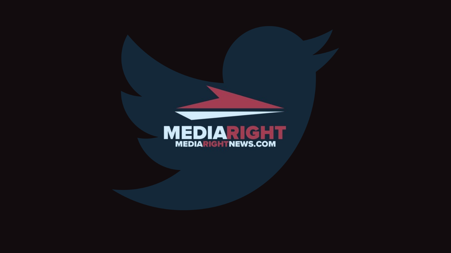 Twitter locks out news outlet for quoting Antifa activist