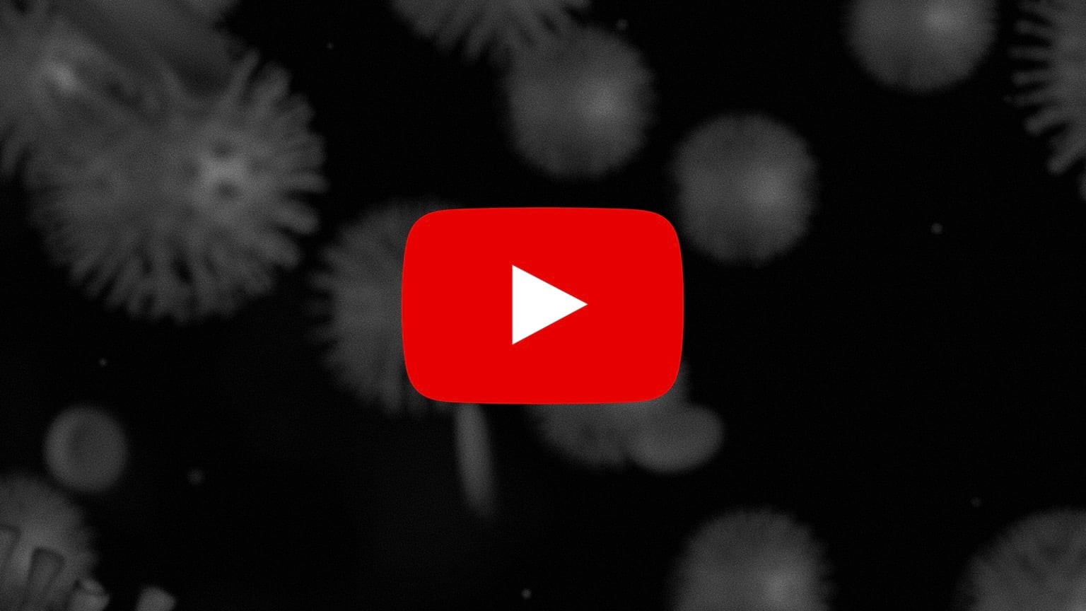 YouTube censors President Bolsonaro and CNN Brazil over videos about hydroxychloroquine