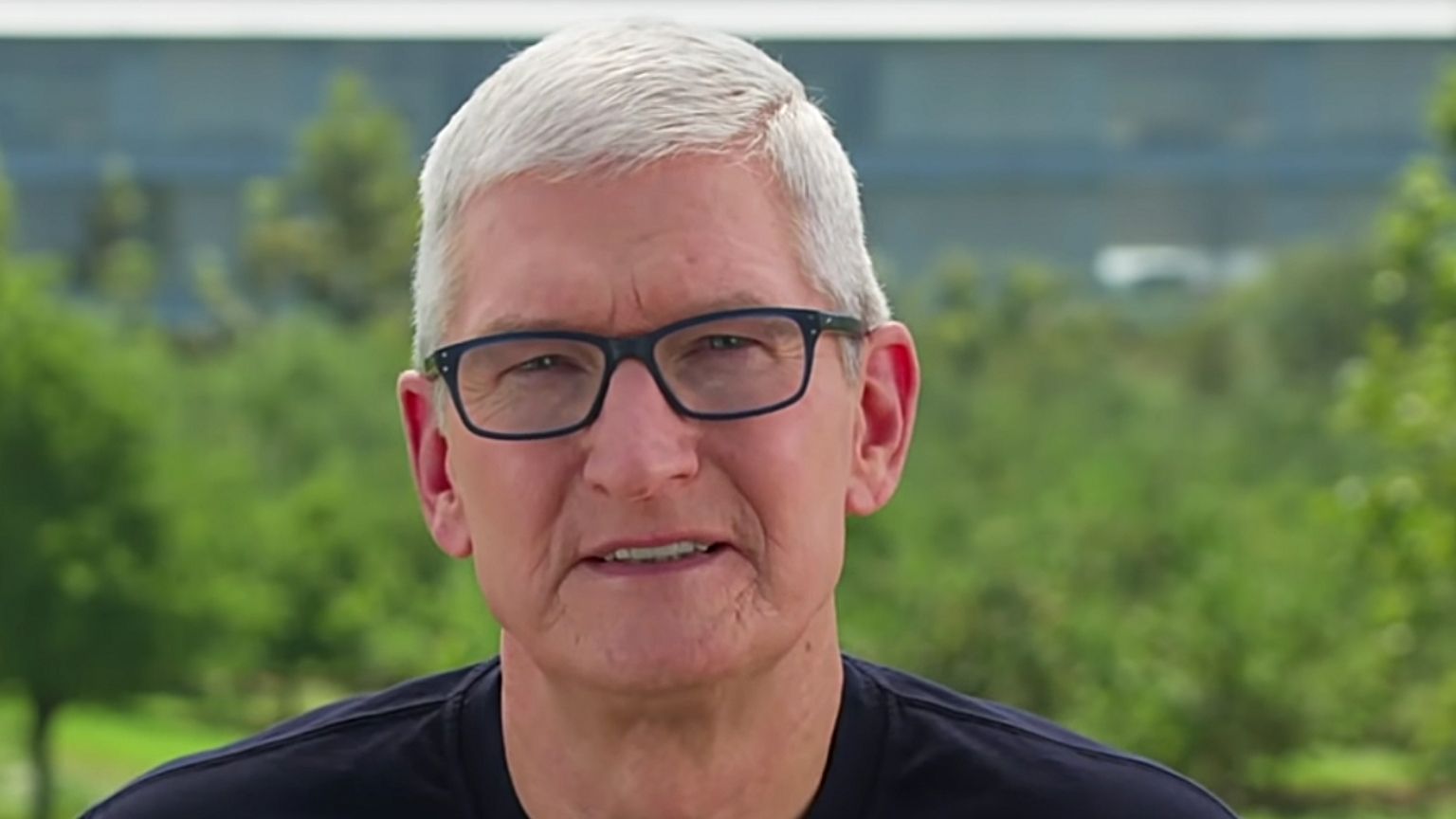 Apple CEO Tim Cook is reported to personally be lobbying the Senate Judiciary Committee on antitrust