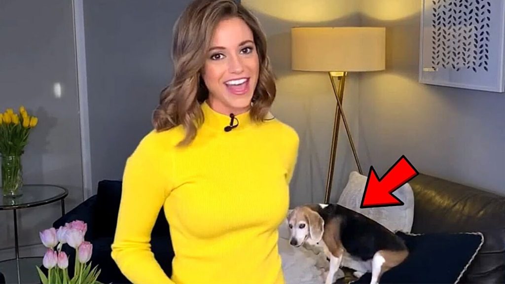 YouTube demonetizes news bloopers channel News Be Funny