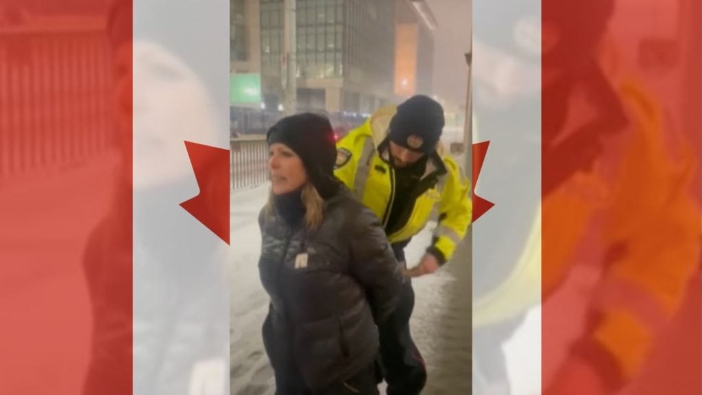 Freedom Convoy fundraiser and organizer Tamara Lich is denied bail