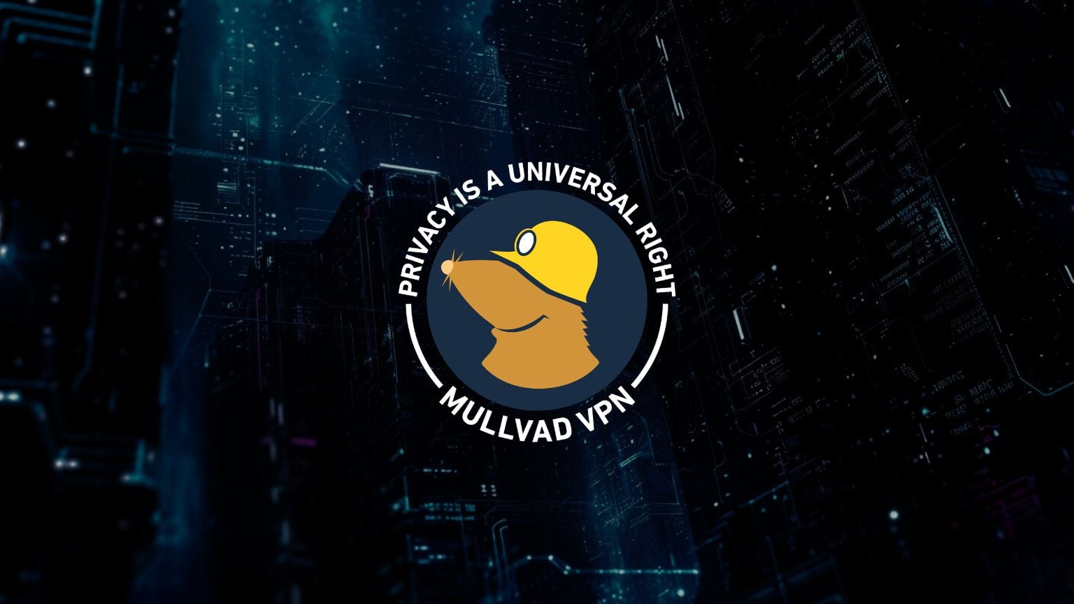Mullvad VPN