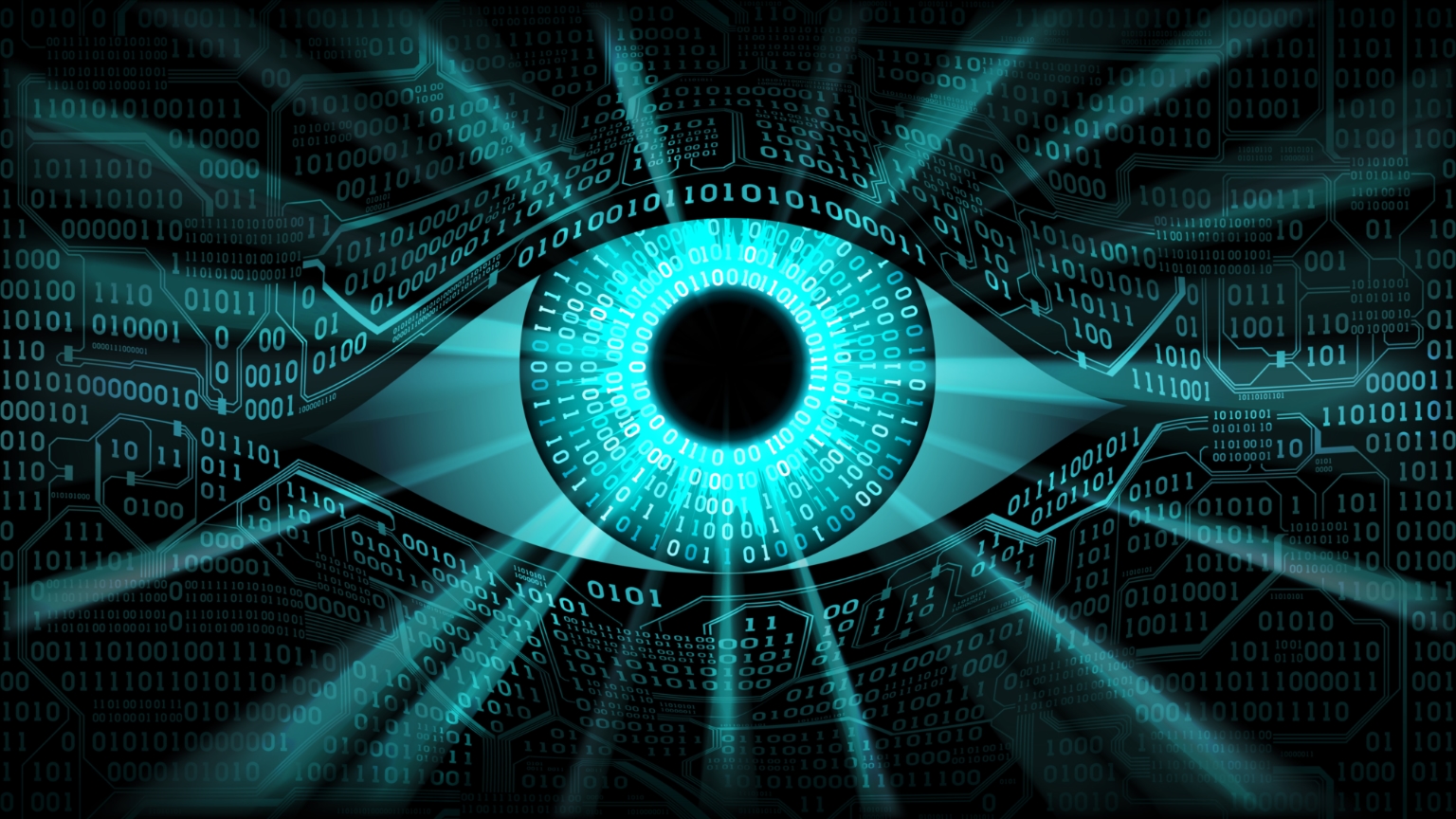 Scooping private data doesn’t violate Fourth Amendment if the owner can still access it, court rules