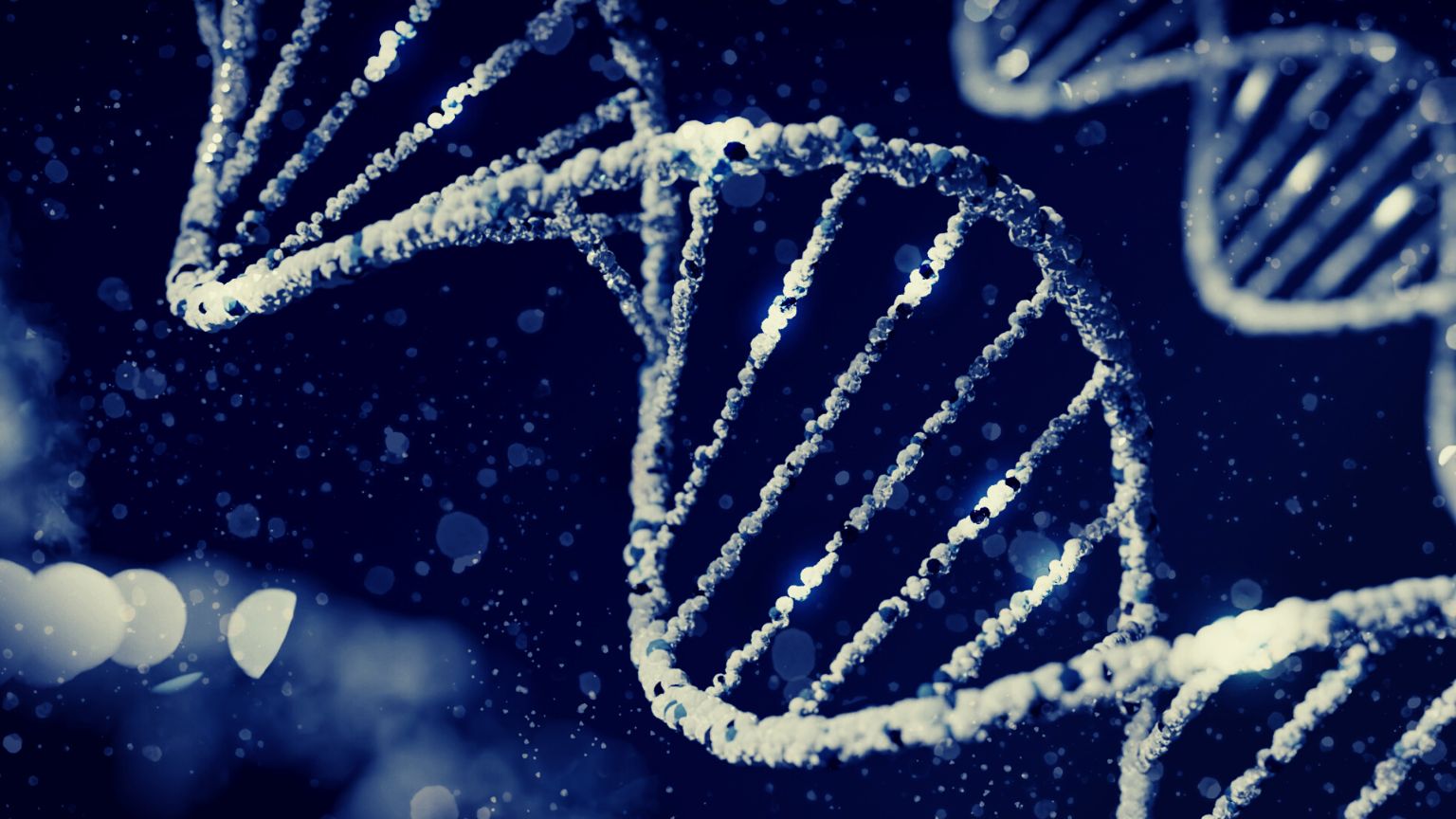 Lawmaker says private DNA databases could be hacked to produce bioweapons to target specific people
