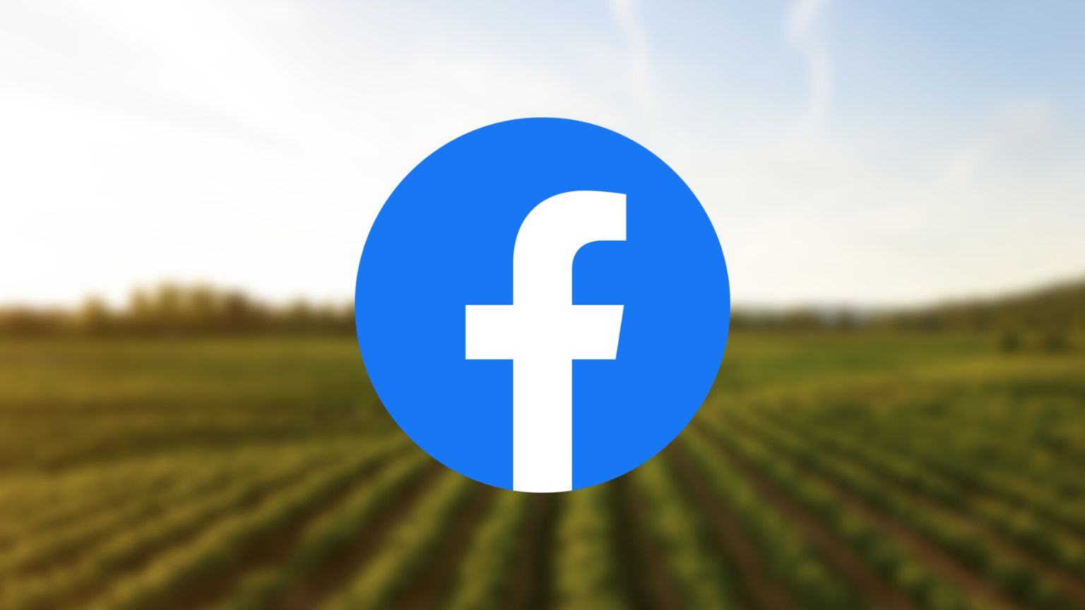 Facebook shuts down group after members made jokes about attacking fictional characters