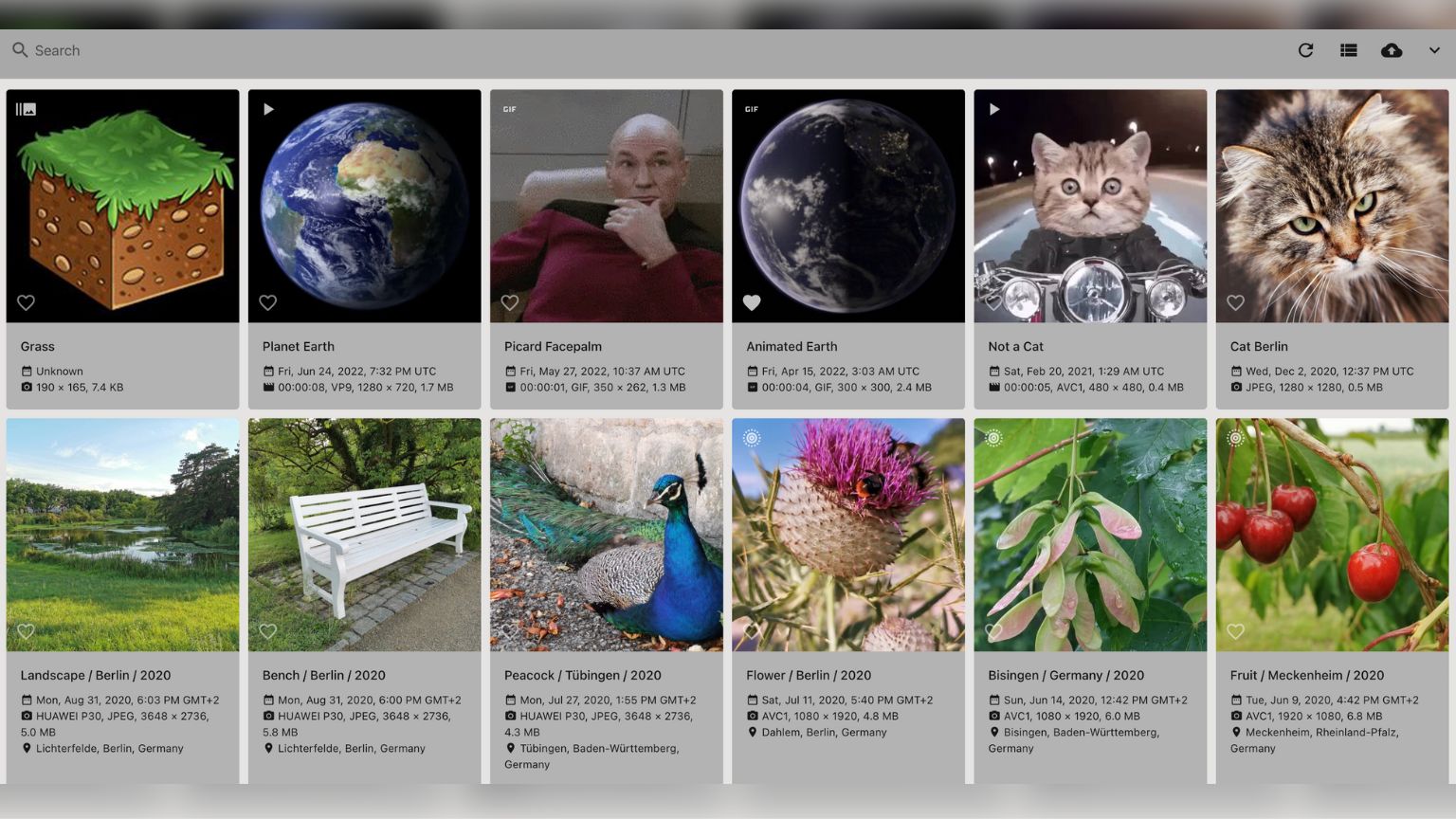 A private, open-source Google Photos alternative