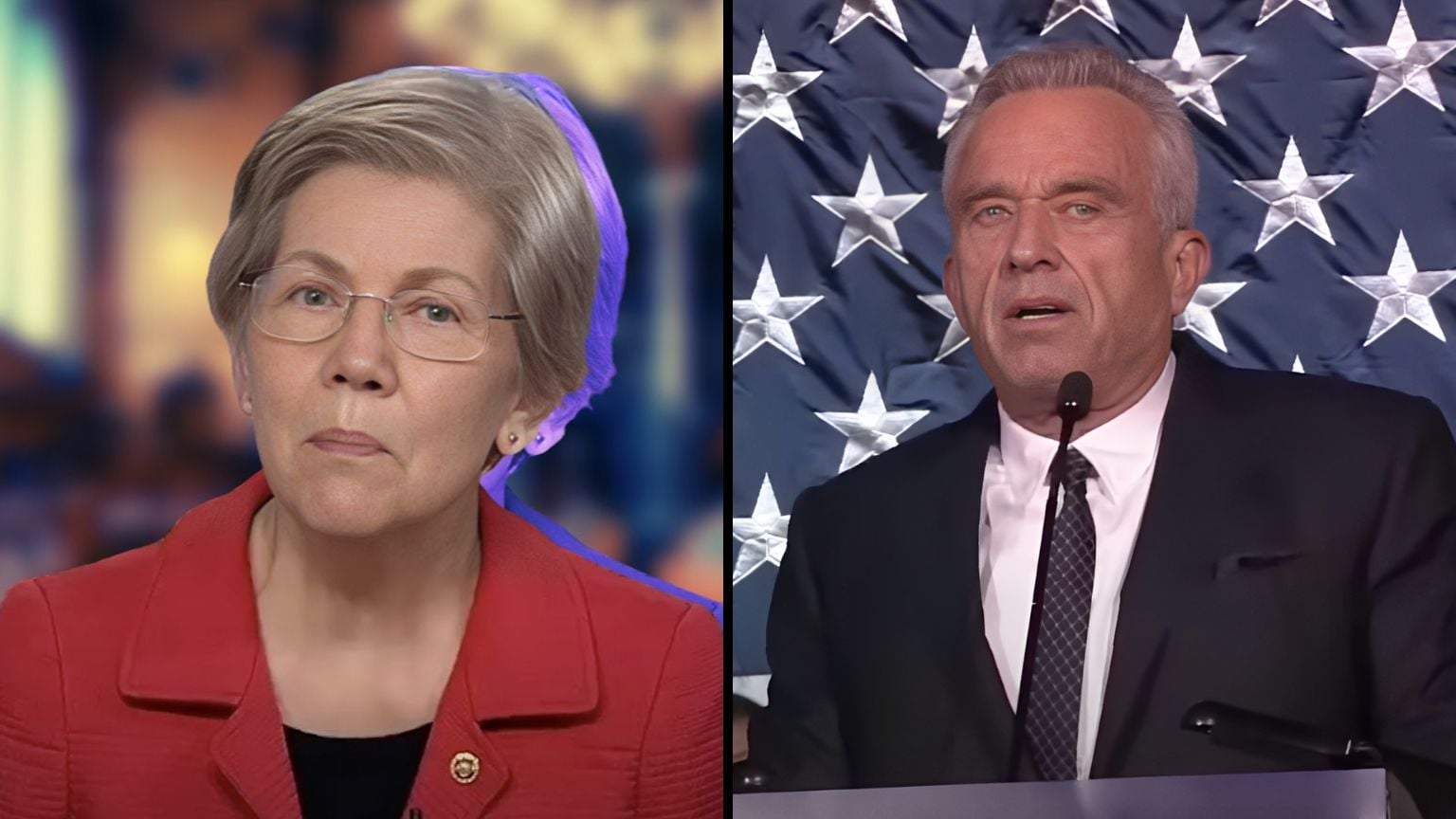 “Persuasion Not Coercion” – How A Judge Thought Senator Elizabeth Warren Is Allowed to Push Amazon To Ban Books