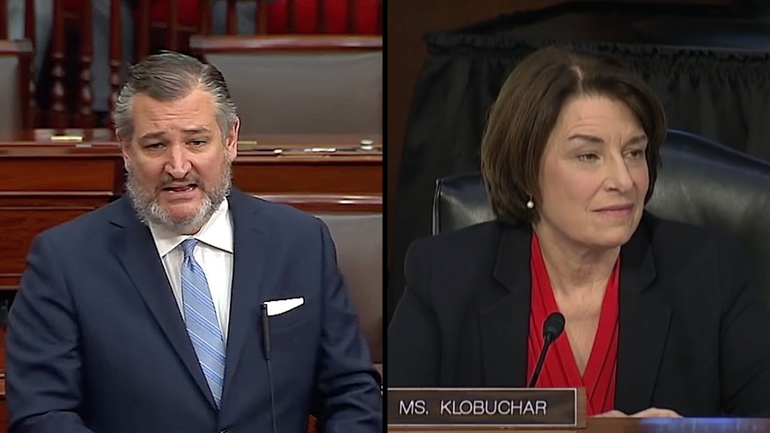 Cruz-Klobuchar Amendment Would Give Lawmakers Powers To Scrub Private Information From The Internet