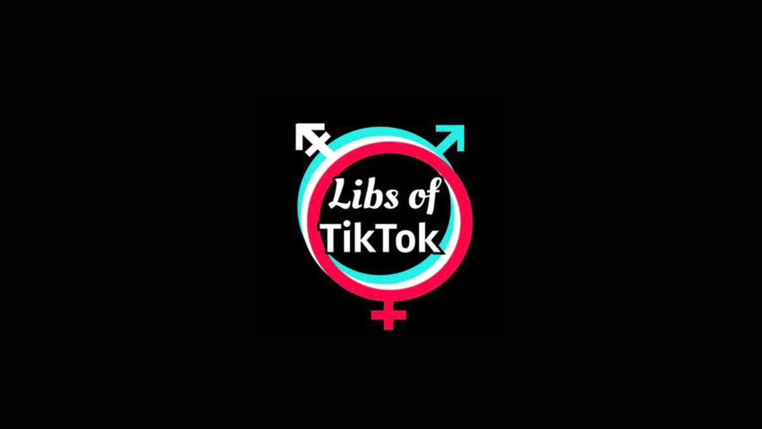 Elon Musk Says The ADL Tried to Pressure X To Ban Libs of TikTok