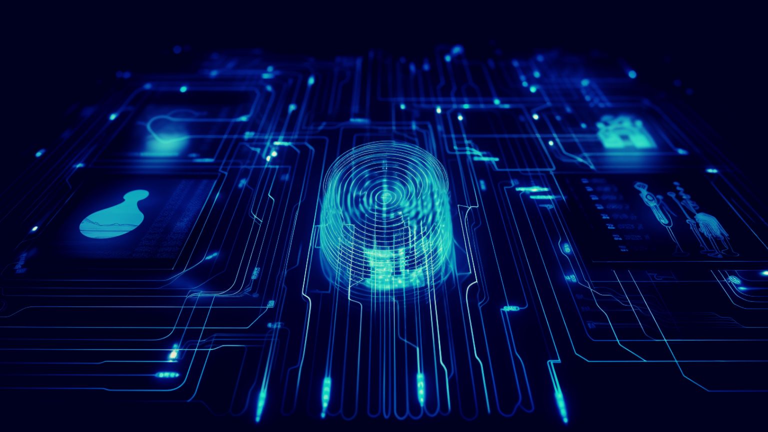 Israeli Intelligence To Be Granted Full Access to National Biometric Database