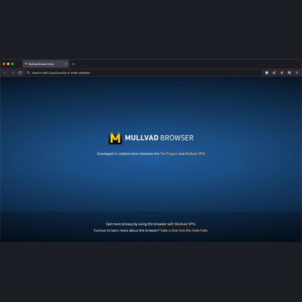 Mullvad Screenshot 1