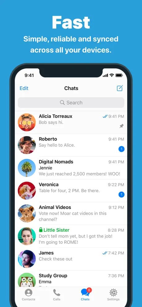Telegram Screenshot 1