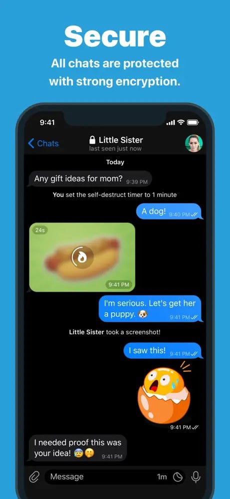 Telegram Screenshot 3
