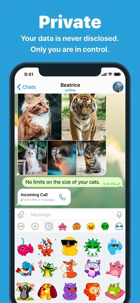 Telegram Screenshot 4