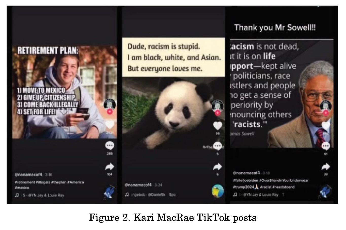Three screenshots of TikTok posts by user nanamacof4; the first shows a young man with text overlay listing a retirement plan with steps to move to Mexico and give up citizenship, the second shows a panda with text saying racism is stupid and mentioning being black, white, and Asian, the third shows an older man in a suit with a quote about racism attributed to Thomas Sowell and thanking Mr. Sowell.