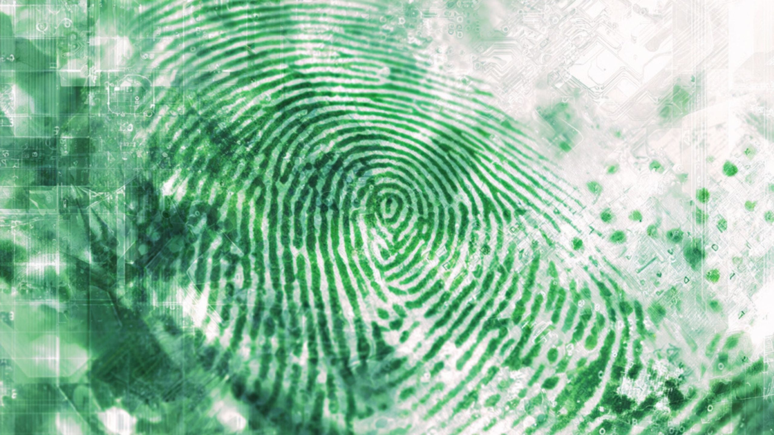 Nigeria’s Data Breach Allegations Expose Risks of Centralized Digital ID Systems