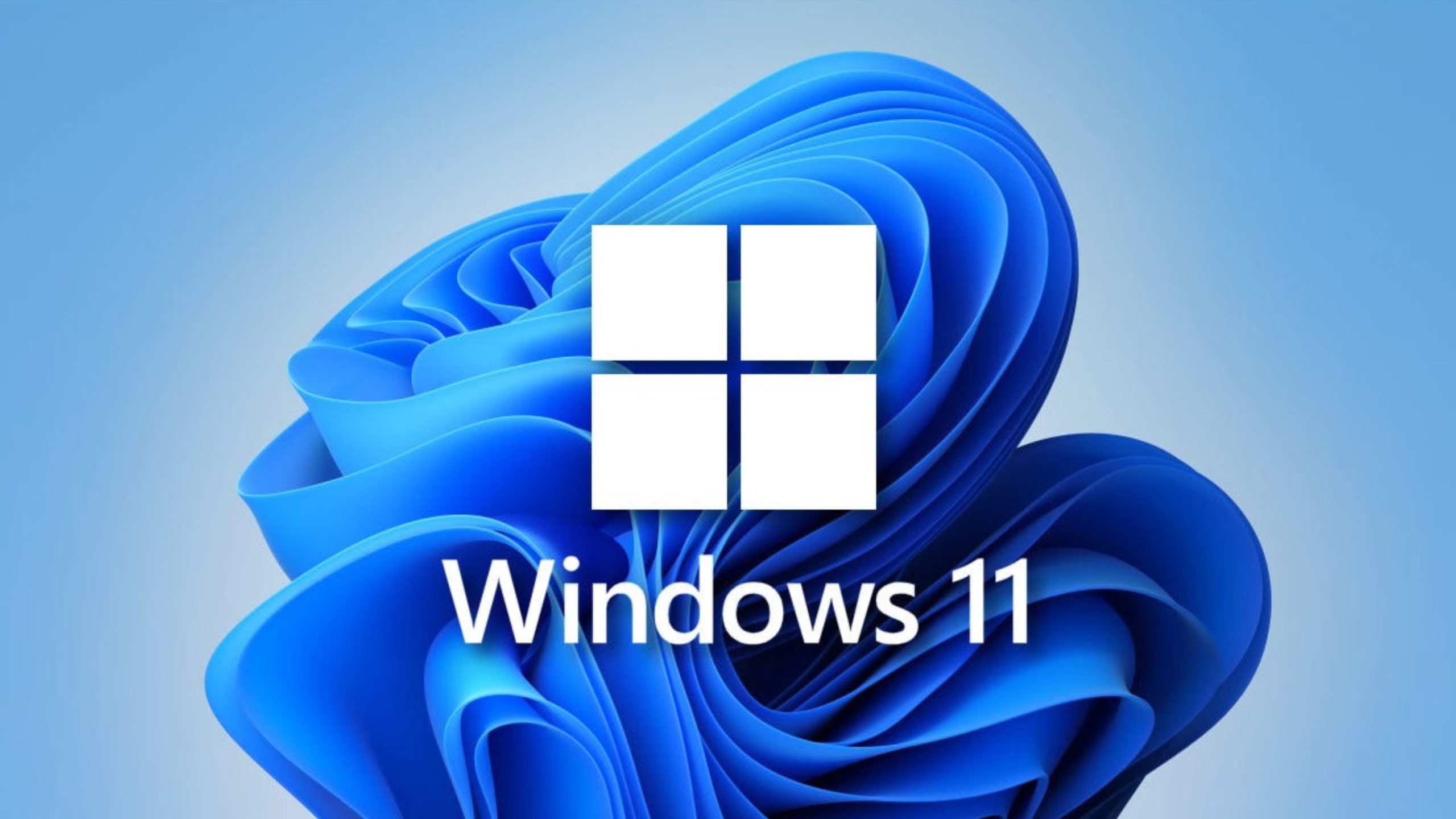 White four-pane Windows logo centered over an abstract blue folded-wave wallpaper with the words Windows 11 below.