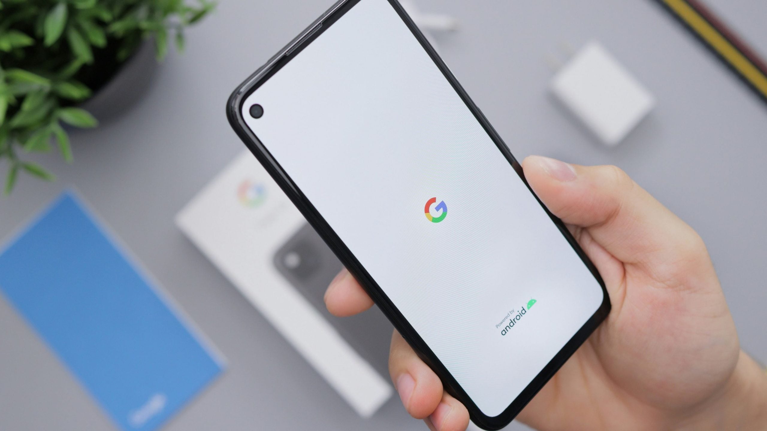 Google Dismisses Privacy Fears Over App ID Policy