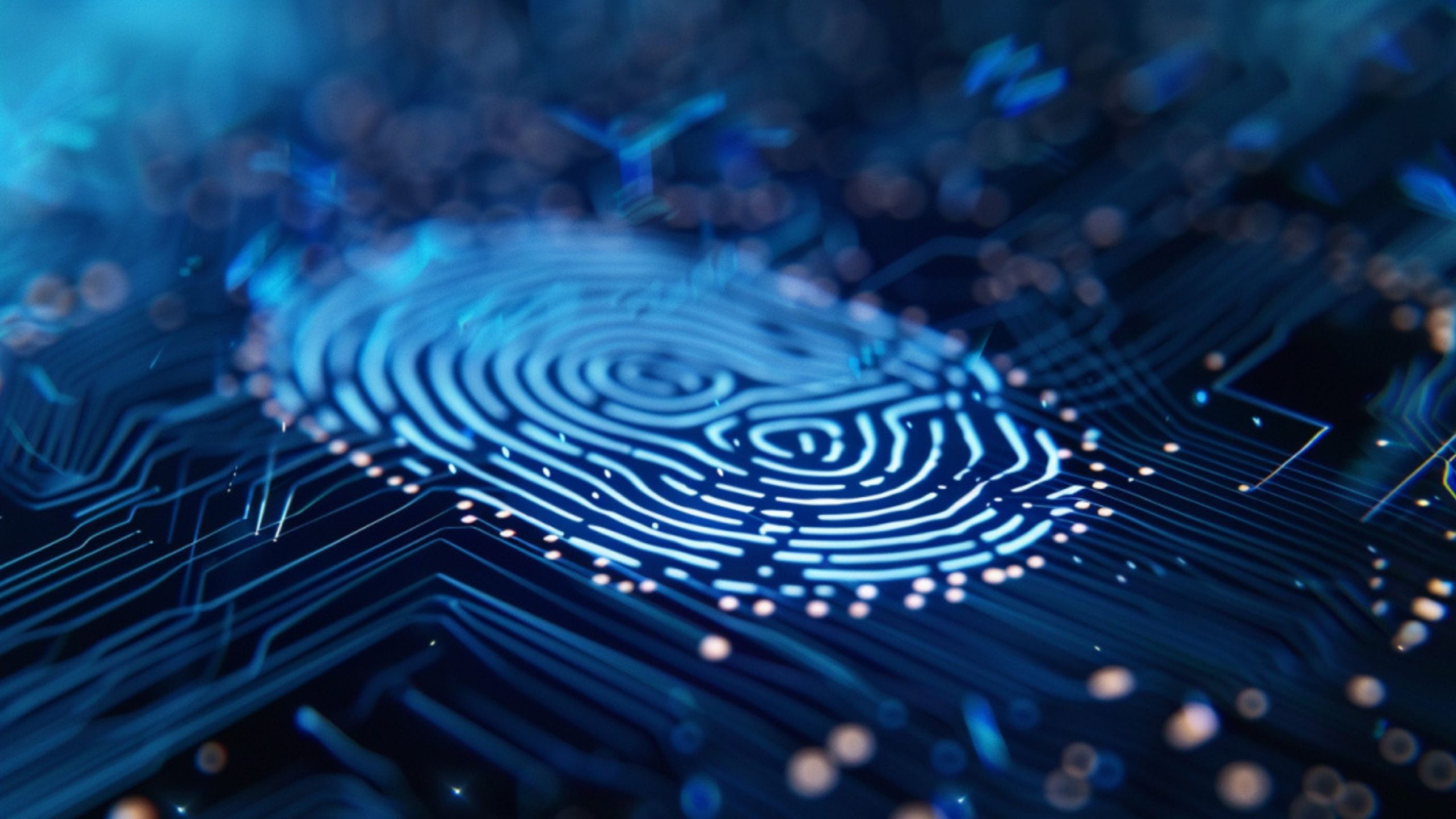A Warrant That Treated a Face Like a Password