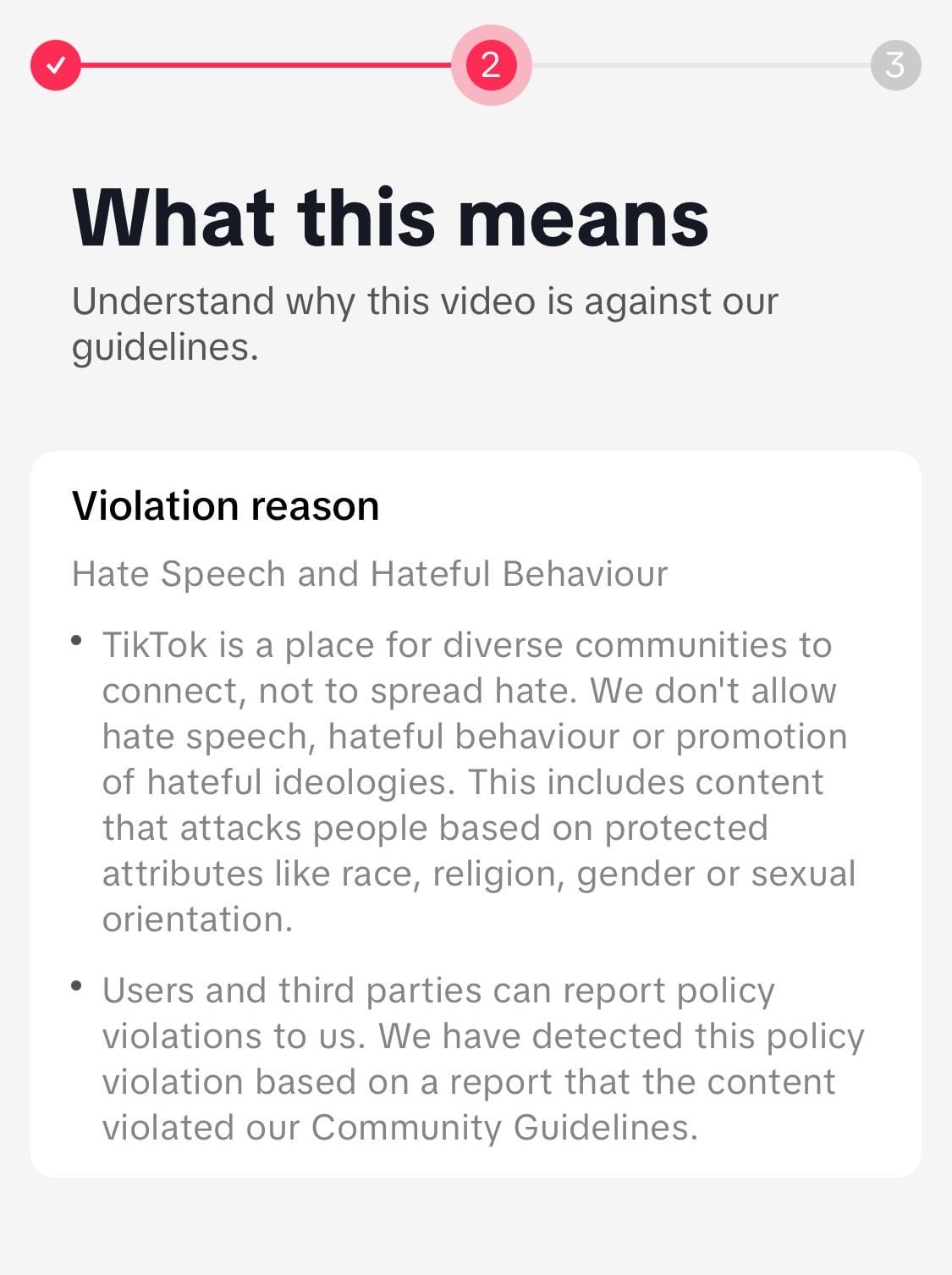 App screen titled "What this means" explaining a video violation for "Hate Speech and Hateful Behaviour" with policy bullet points.